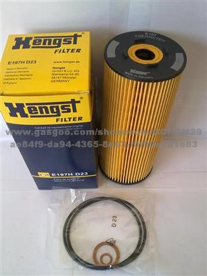 Hengst Filters E197HD23