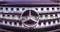 Benz ML350 Front Grille BZ81098