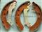 S698-F Brake Shoes For CHRYSLER,DODGE And PLYMOUTH