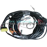 Auto Engine Wire Harness (NT-P-12008)