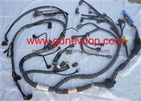 Auto Engine Wire Harness (NT-P-12013)