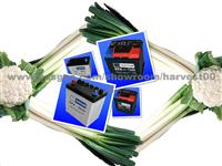 High Quality Lead Acid Car Battery