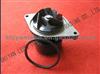 Auto Part Cummins Water Pump 4891252 Heavy Truck Parts