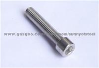 Duplex Stainless Uns S31254 Fastener Bolt Nut Washer Gasket Screw