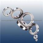 6007-RSN 6008-RSN 6009-RSN Ball Bearing