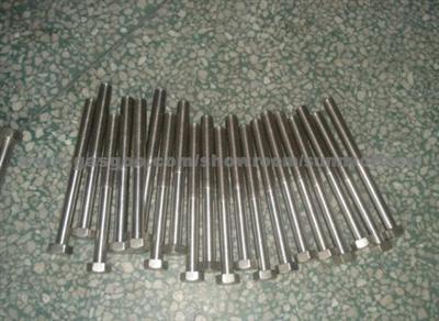 Stainless 317ln Fastener Bolt Nut Washer Gasket Screw