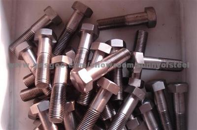 Stainless 309s Fastener Bolt Nut Washer Gasket Screw