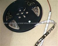 LED STRIP 3528/5M/300LED 60led/Meter