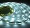 LED STRIP 5050 30LED/METER