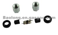 TPMS Service Kits-TPMSRFK RG54D