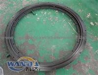 Corrosion Resistant Slewing Ring