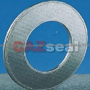 Reinforced Graphite Gasket