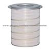 Donaldson air Filters P553004