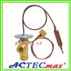Air Conditioning Expansion Valve Outlet: 3/4-16UNF Equalizer: 7/16-20UNF (AC.119.049)