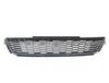 2010polo Front Grille