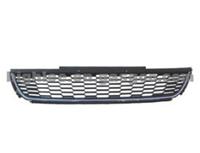 2010polo Front Grille