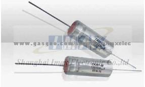 CA301 Non-Solid Tantalum Capacitor