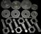 DFM, VOLVO, GM, PEUGEOT Citron, ZF,STANADYNE, CKN PLA Gear
