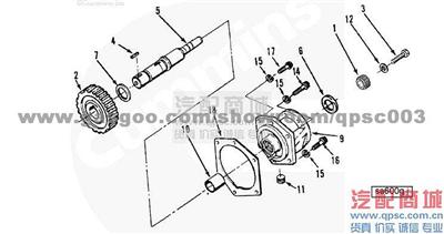 3000174 Hub, Spline Coupling KTTA50-C2000 CUMMINS