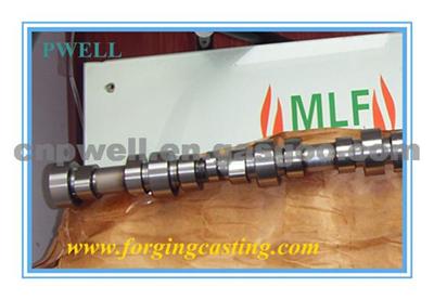 Camshaft Hot Selling 6BT Competitive Price