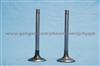 Engine Valves For DAEWOO