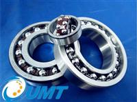 NTN Self-Aligning Ball Bearing