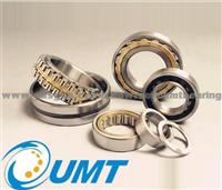 NSK Cylindrical Roller Bearings