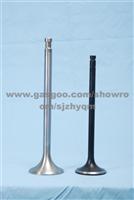 Engine Valves For VW