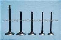 Engine Valves For FORD