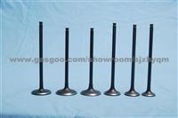 Engine Valves For ISUZU