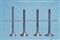 Engine Valves For COMMINS