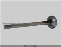 Chery A5 Exhaust Valve 481h-1007012ba