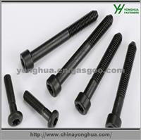 Hex Socket Screw M16