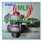 Ford/ Peugeot/ Citroen Gt1544v 753420-5/ 753420-5005 Turbocharger - img2