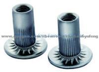 Rivet Nut-Autombile Large Flange Head Knurled Body