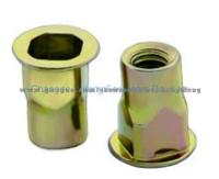 Rivet Nut-Autombile Flat Head Insid&Outside Sqvare Knurled Body