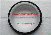 Cummins Crankshaft Oil Seal 3968563
