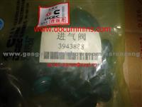 Dongfeng Cummins Oil Seal 3943888