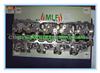 Toyota 1KZ-T Complete Cylinder Head