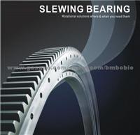 Slewing Bearings