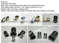 Rivet Nut-Thin Head