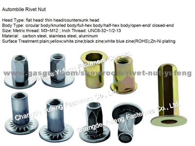 Autombile Rivet Nut