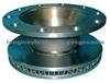 BRAKE DISCS RVI-5010525364