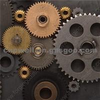 Bevel Gear Wheel