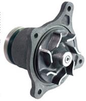 KIA Auto Parts Water Pump 2510041750
