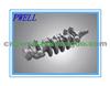 Steel Forged Crankshaft