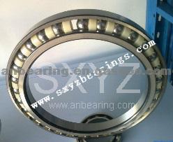 Excavator Bearing R196Z-4