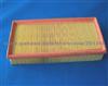 Air Filter 77129620