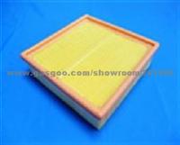 Air Filter 21129620