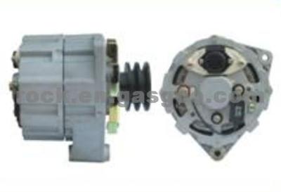 ALTERNATOR 0120489731 FOR FORD